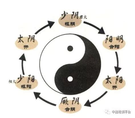 少陰意思|太阳，太阴，以及少阳，少阴都是表示什么？